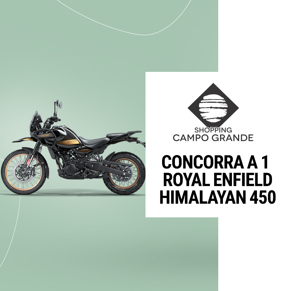 Himalayan 450 Hanle black