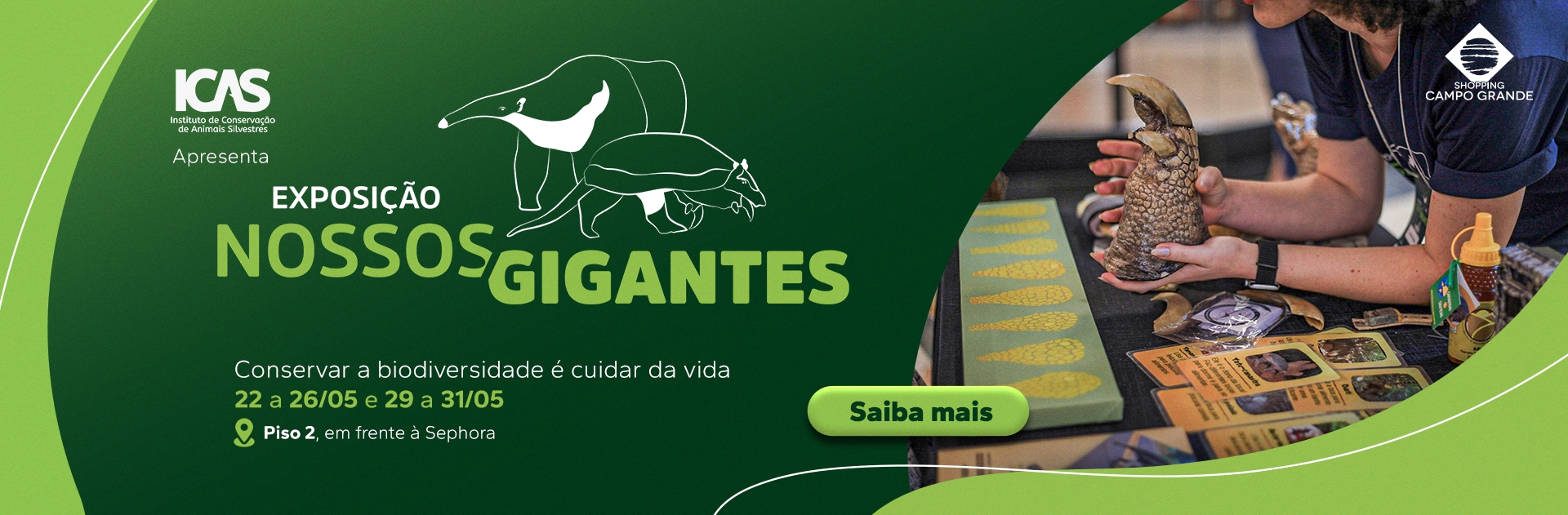 BANNER SITE - DESKTOP 1920x631px - EXPO NOSSO GIGANTES _1_.jpg