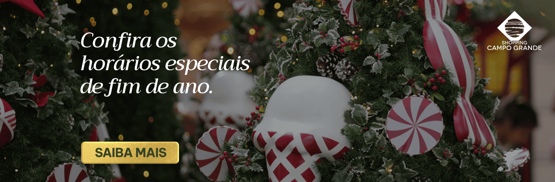 BANNER_DESK_HR_FIM_DE_ANO - 1920X631 _1_.png